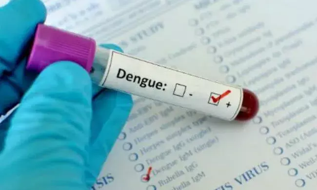 Exercise caution in festive time; dengue, viral fevers still a threat