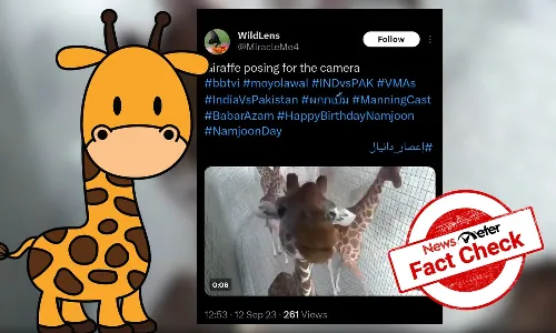 Fact Check: CGI clip of an adorable giraffe shared as real