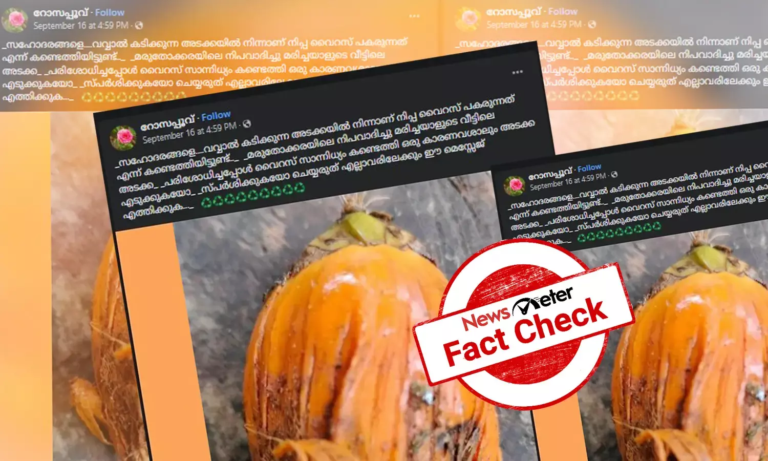 അടയ്ക്കയും നിപയും: പ്രചരിക്കുന്ന സന്ദേശങ്ങളുടെ വസ്തുതയെന്ത്?