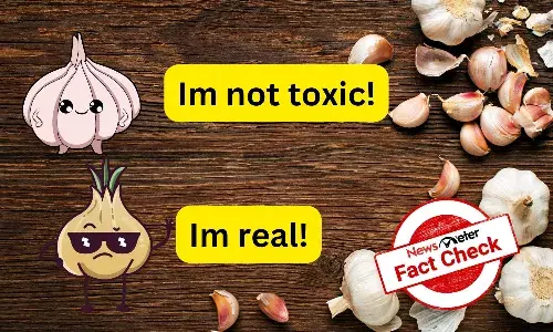 Fact Check: Viral video calling garlic toxic and artificial debunked Fact Check: Viral video calling garlic toxic and artificial debunked
