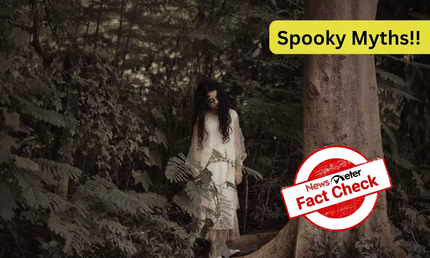 Fact Check: No, hair and nails do not grow after death