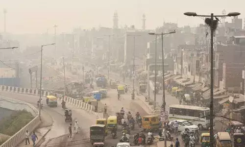 Delhi most polluted city in India in past year: Analysis