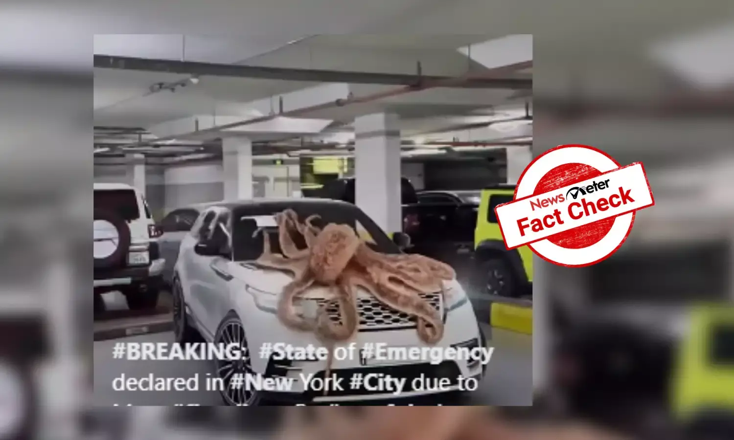 Fact Check: Video of a giant octopus climbing car in NY is CGI-generated
