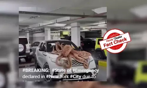 Fact Check: Video of a giant octopus climbing car in NY is CGI-generated