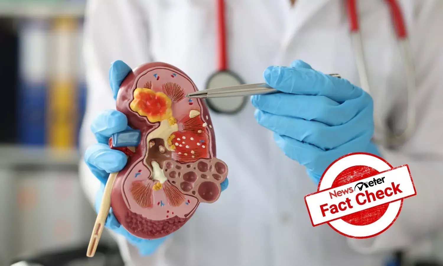 Fact Check: Can a concoction of olive oil, honey and lemon juice dissolve kidney stones in 15 days?