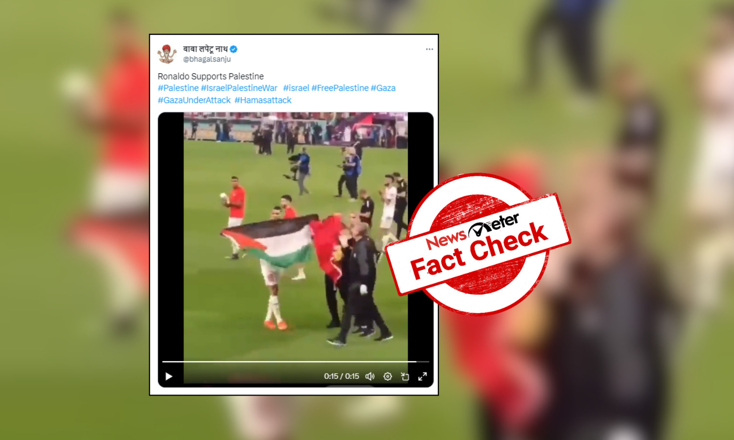 Fact Check: Did Cristiano Ronaldo wave Palestinian flag on the ground?
