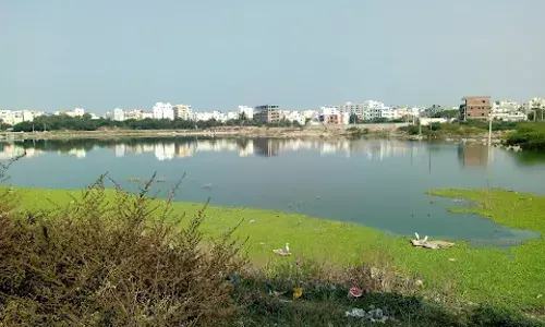 Delay in steps to protect Ramanthapur Lake irks HC, pulls up GHMC commissioner