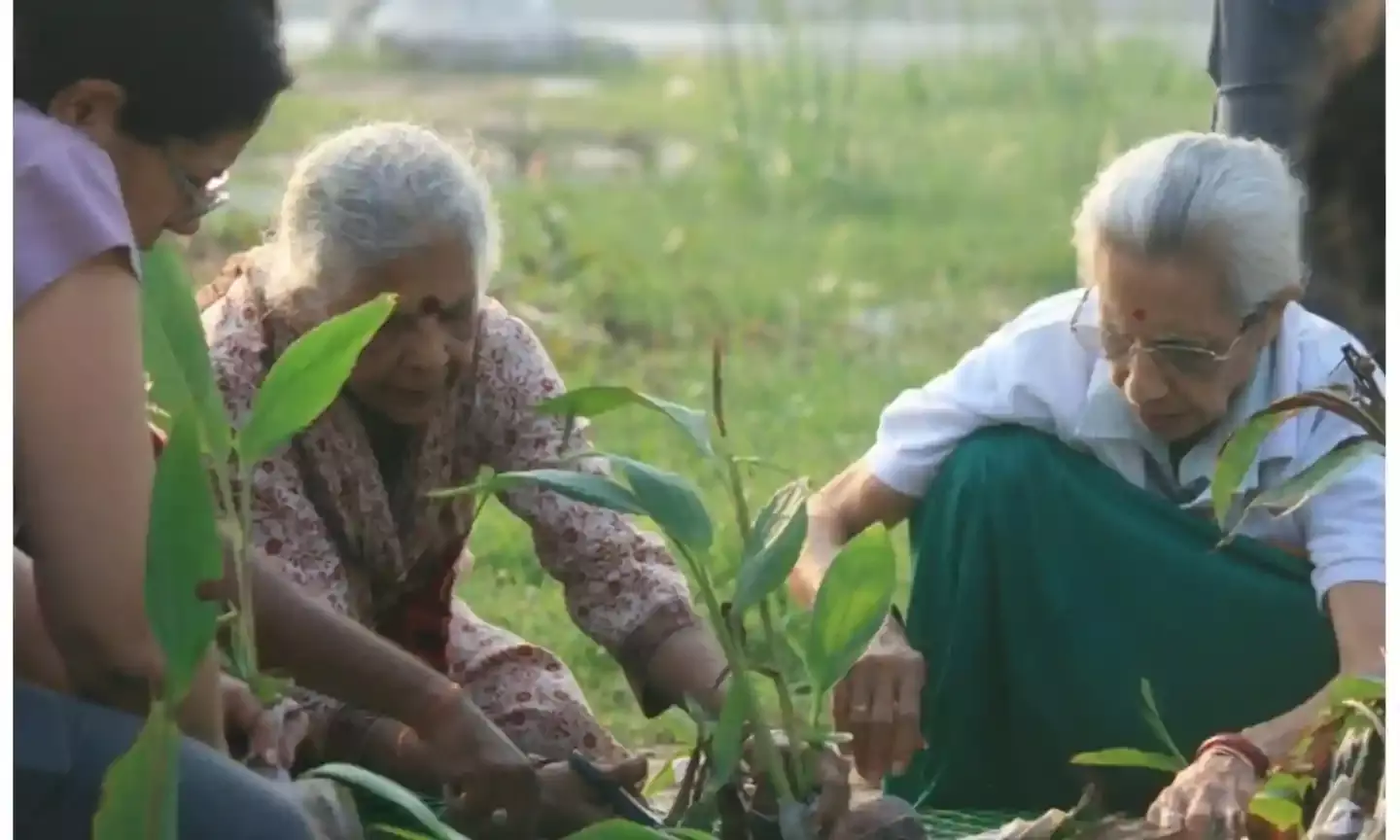 Kapra Lake clean up: Floating islands with 3,500 saplings to absorb harmful chemicals