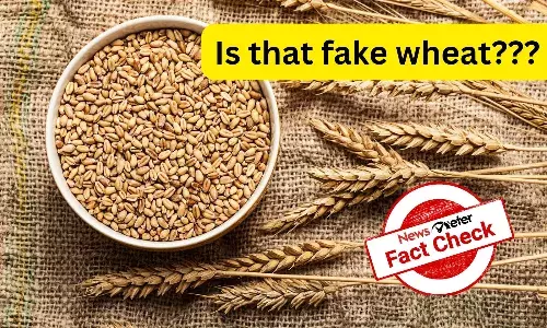 Fact Check: Video of plastic waste granulation passed off as fake wheat manufacturing