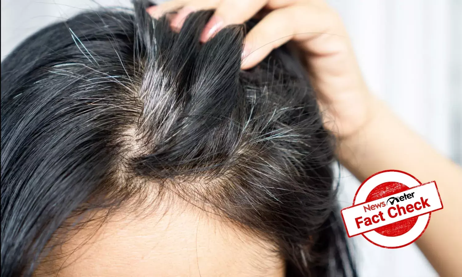 Fact Check: Can applying gooseberry oil to hair reverse greying?