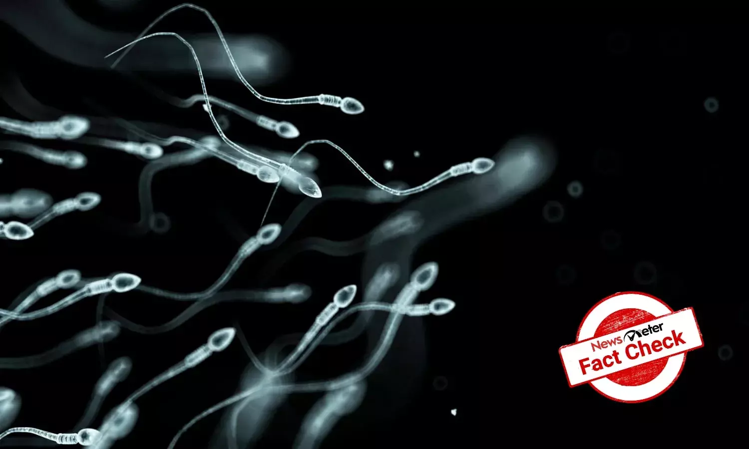 Fact Check: Does drinking cow milk increase sperm count?