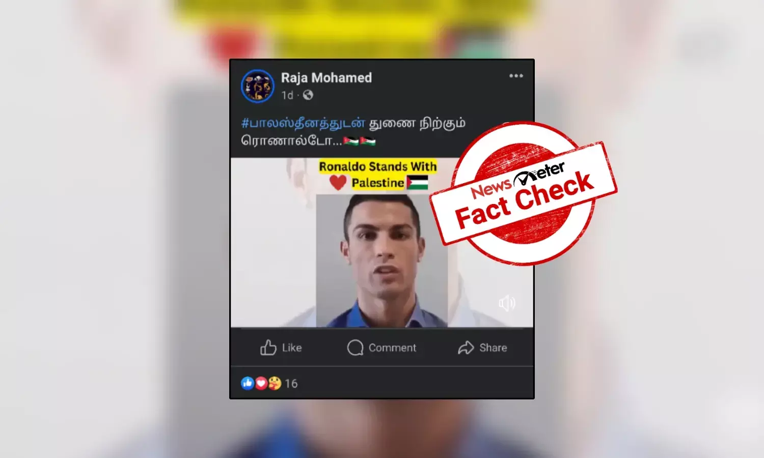 பாலஸ்தீனத்துடன் துணை நின்றாரா கால்பந்து வீரர் ரொனால்டோ?