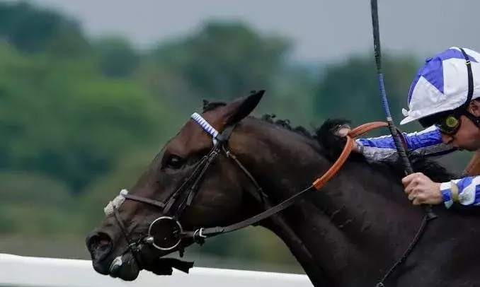 Horse Power Sports League comes calling to Hyderabad; 7 teams to vie for title in Dec