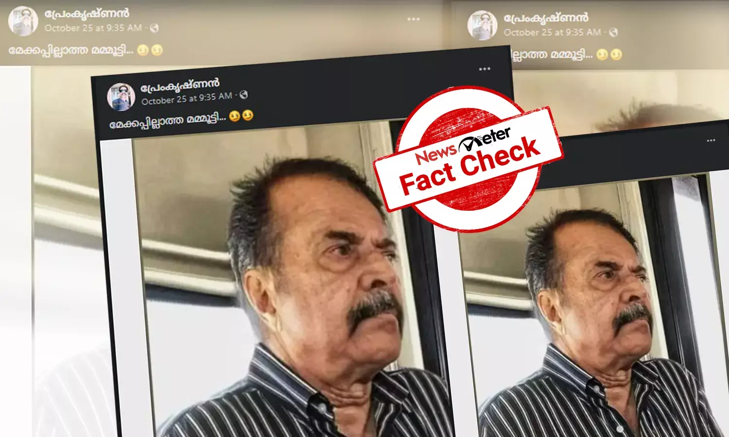 മേക്കപ്പ് ഇല്ലാത്ത മമ്മൂട്ടി: പ്രചരിക്കുന്ന ചിത്രം എഡിറ്റ് ചെയ്തത്