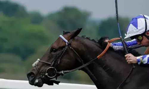 Horse Power Sports League comes calling to Hyderabad; 7 teams to vie for title in Dec