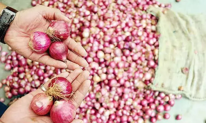 Govt imposes USD 800/tonne minimum export price on onion; to buy additional 2 lakh tonnes for buffer