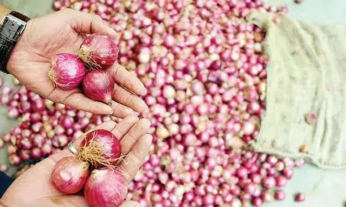 Govt imposes USD 800/tonne minimum export price on onion; to buy additional 2 lakh tonnes for buffer
