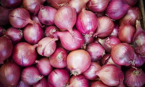 Hyderabad sees spike in onion prices; per kg rate crosses Rs 80