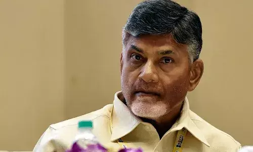 Naidu granted 4-weeks conditional bail; asked to surrender on Nov 28