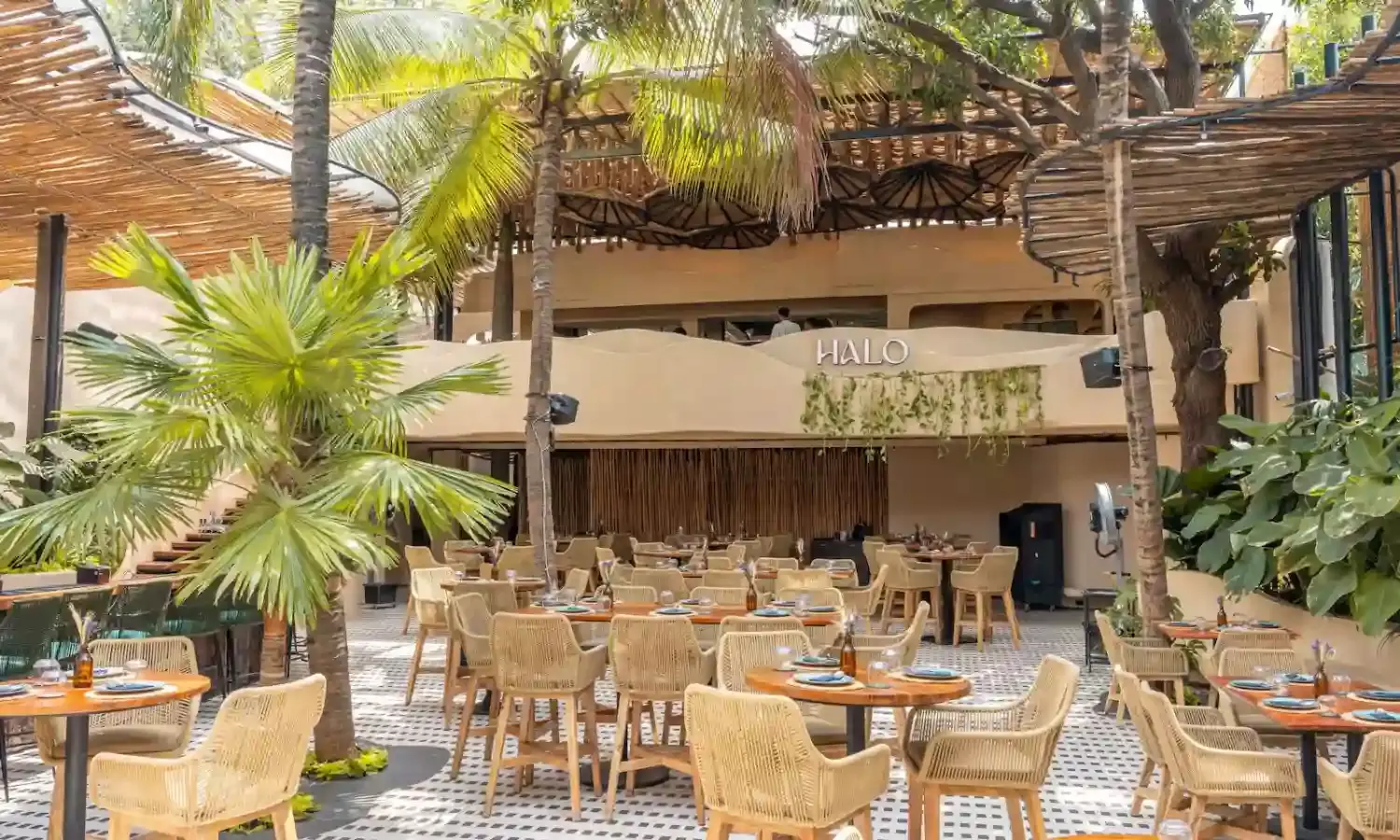 Halo: Hyderabad’s go-to place where every dish and drink is celebration of flavor