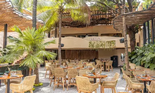 Halo: Hyderabadās go-to place where every dish and drink is celebration of flavor