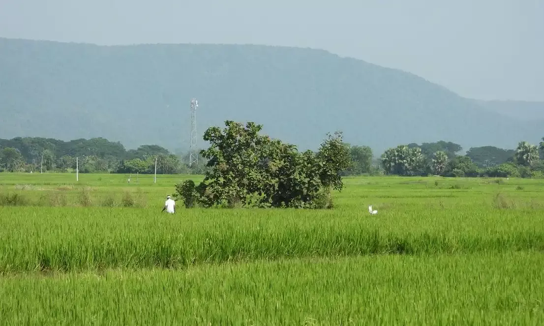 Adilabad: How faulty Dharani land record system has sparked anger among rural voters against BRS?