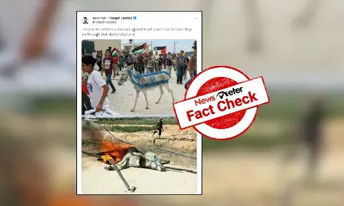 Fact Check: Unrelated images shared as pro-Palestinians burning donkey with Israeli flag painted on its back