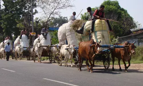 Why are IT raiding Cotton Industry in Telangana; Is it used to bribe voters?