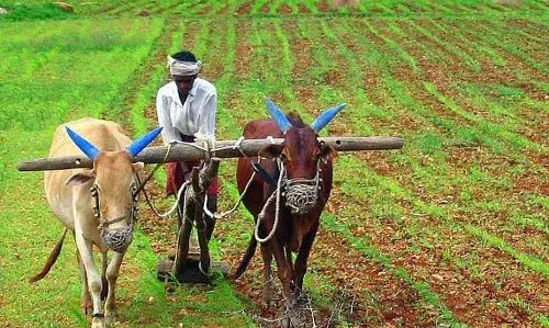 Benefit for the BRS: EC gives clearance for Rythu Bandhu