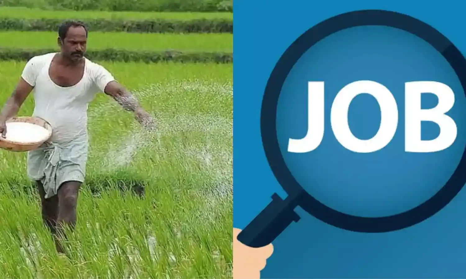 Telangana polls: How EC’s nod to BRS’ Rythu Bandhu forces Congress to issue job calendar