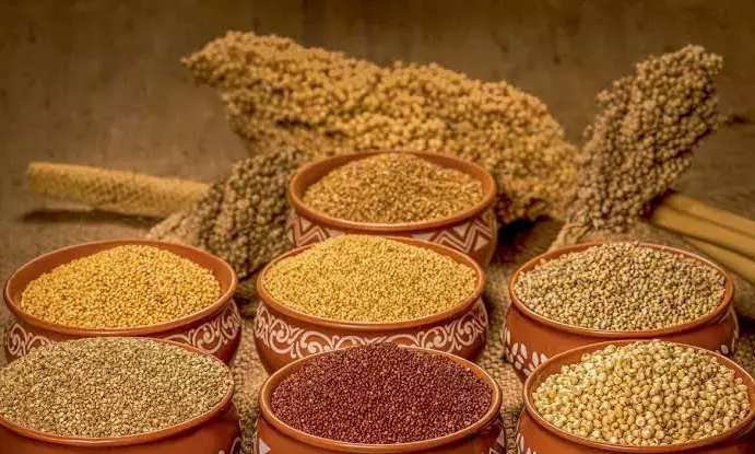 Experts back millets as future food, advocate social media for authentic food facts