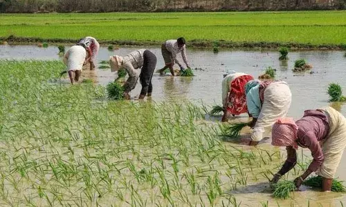 Congress claims BRS will misuse ECIās approval to disburse Rythu Bandhu benefits