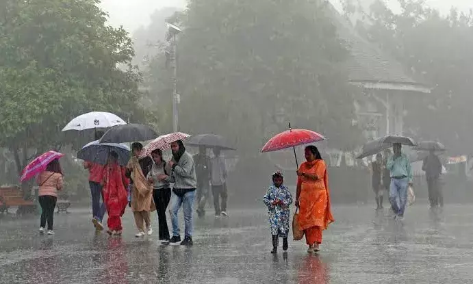 Cyclone Michaung: Boy killed, school closed; heavy rains lash Tirupati, Annamayya, Nellore, Chittoor