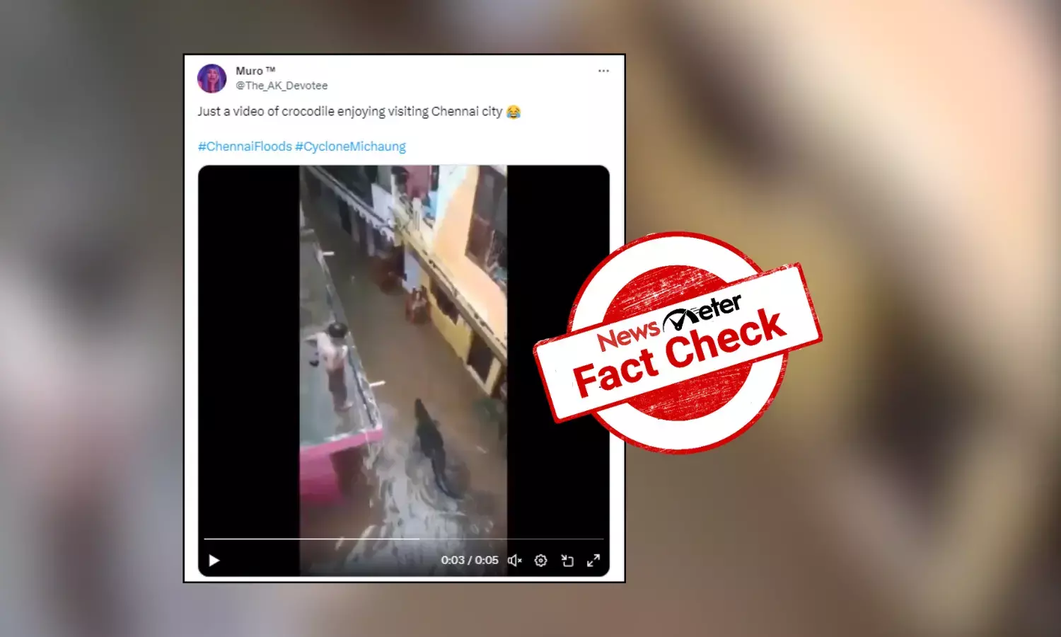 Fact Check: Viral video of crocodile in residential area is from MP, not Chennai