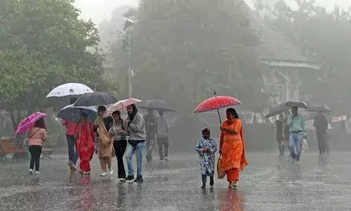Cyclone Michaung: Boy killed, school closed; heavy rains lash Tirupati, Annamayya, Nellore, Chittoor