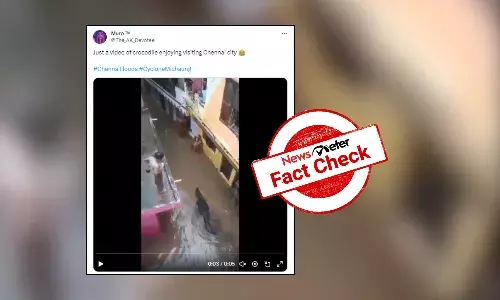 Fact Check: Viral video of crocodile in residential area is from MP, not Chennai
