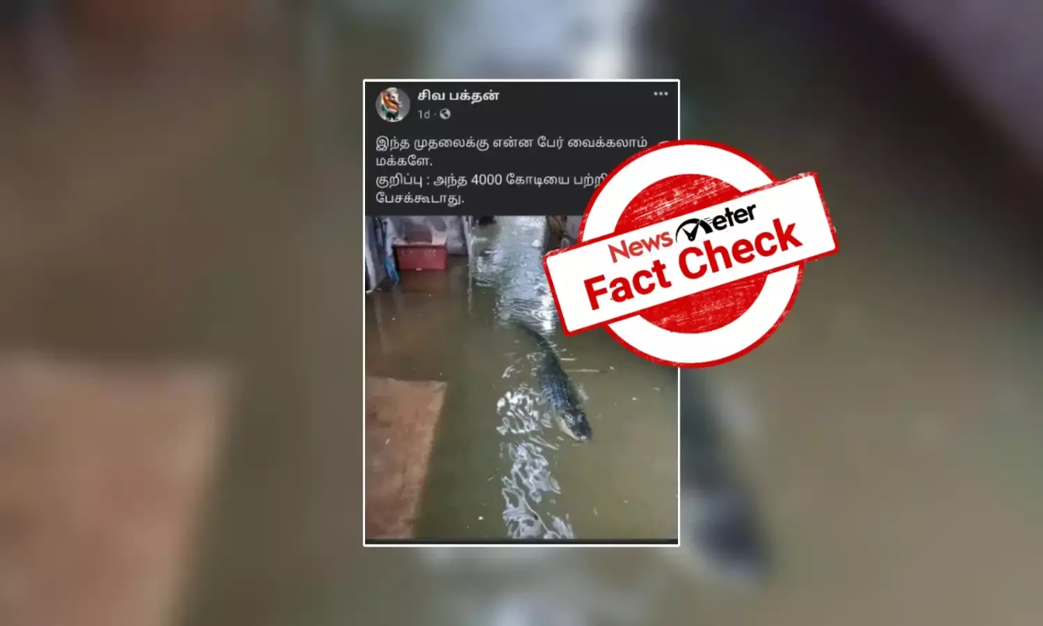 சென்னை வெள்ளம்: குடியிருப்பு பகுதிக்குள் முதலை புகுந்ததா?