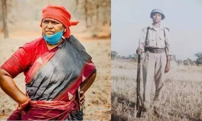 Who is Seethakka? Transformation from Naxalite to lawyer to 3-time MLA in Mulugu