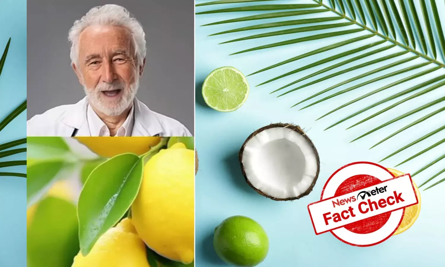 Fact Check: Lemon and coconut oil does not prevent hair greying permanently: AI-generated doc peddles misinformation