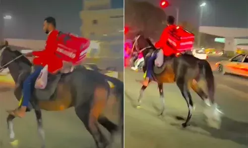 Video: A Zomato delivery boy was seen delivering food on a horse at Chanchalguda amidst #truckDriverProtest