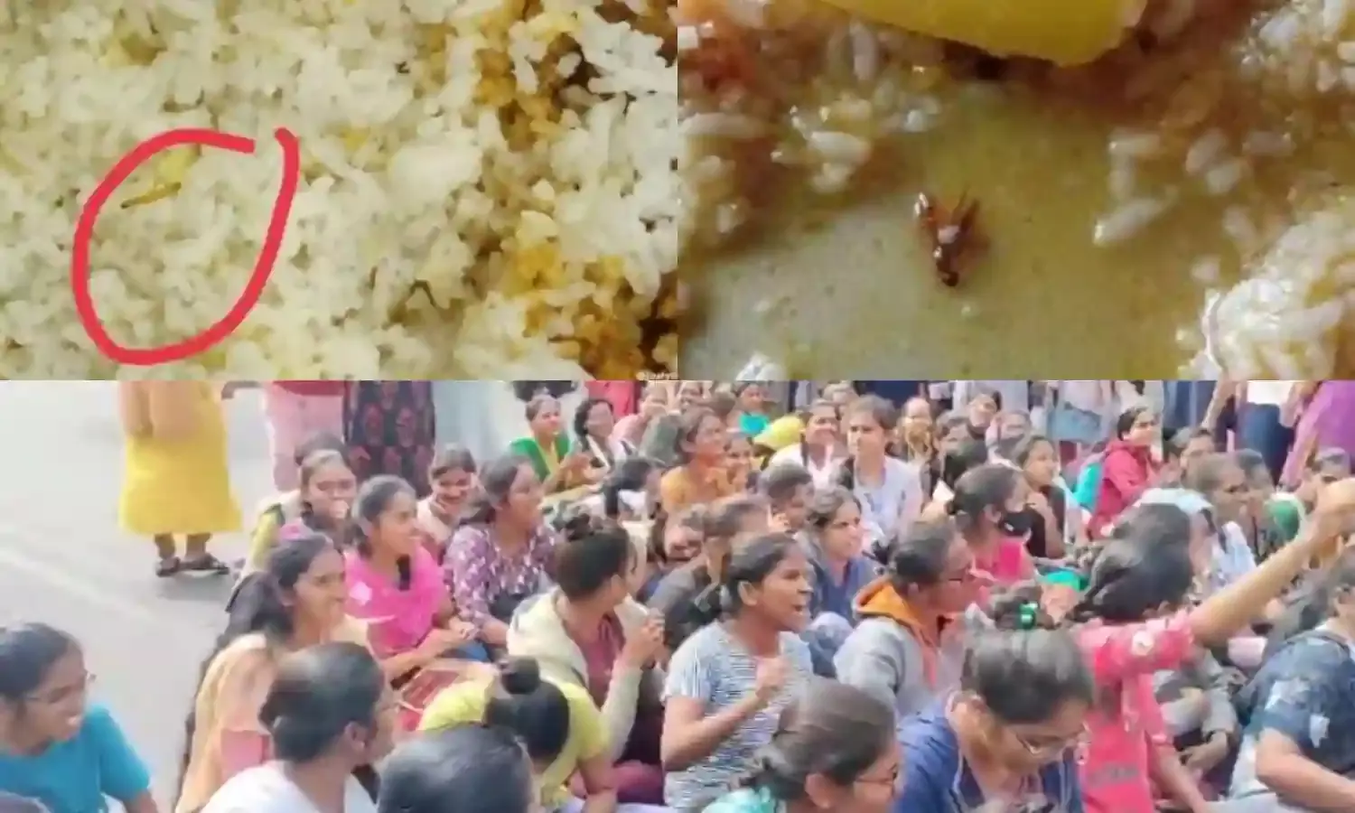 Osmania University students protest insect-infested food served at girls’ hostel