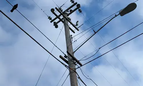 Kite mishaps: Hereās contact details of Telangana Electricity Board for help with power issues