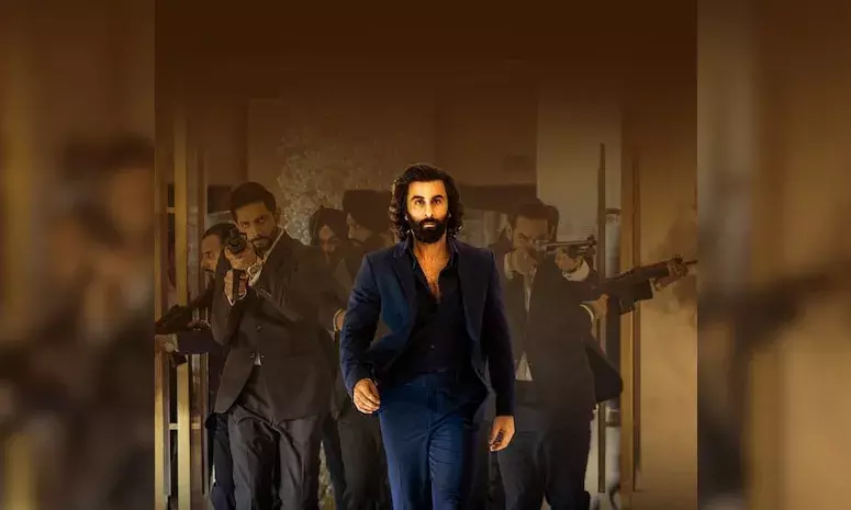 Animal OTT release in trouble? Co-producer Cine 1 Studios moves court over unpaid dues