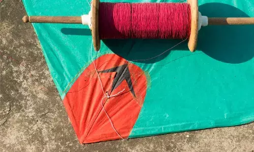 Telangana: 11 people died while flying kites for Sankranthi; electrocution, fall from buildings reported