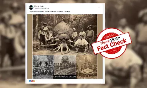 Fact Check: AI-generated images falsely presented as mysterious creatures unearthed during Thailandās King Rama Vs reign