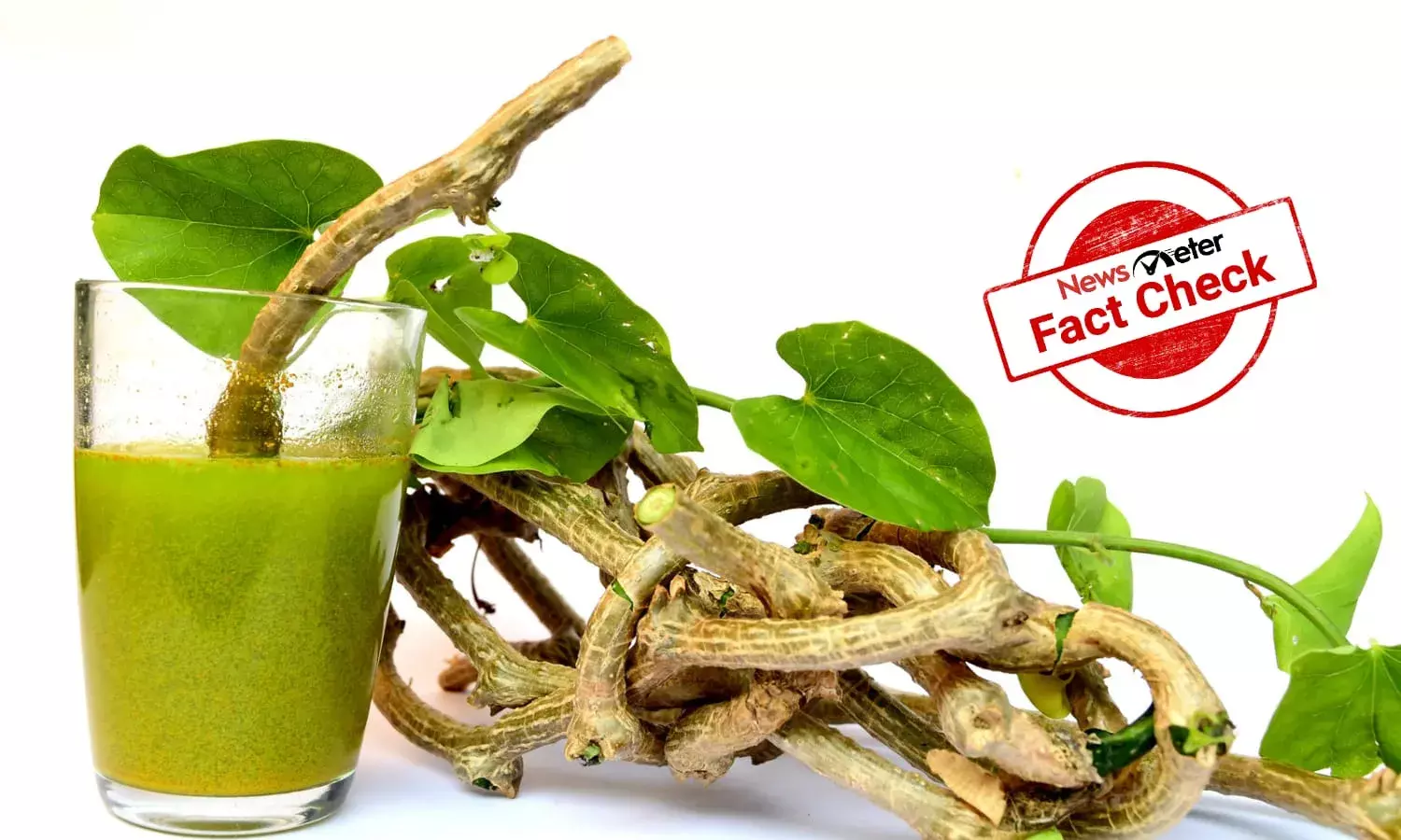Fact Check: Can Giloy cure type 2 diabetes?