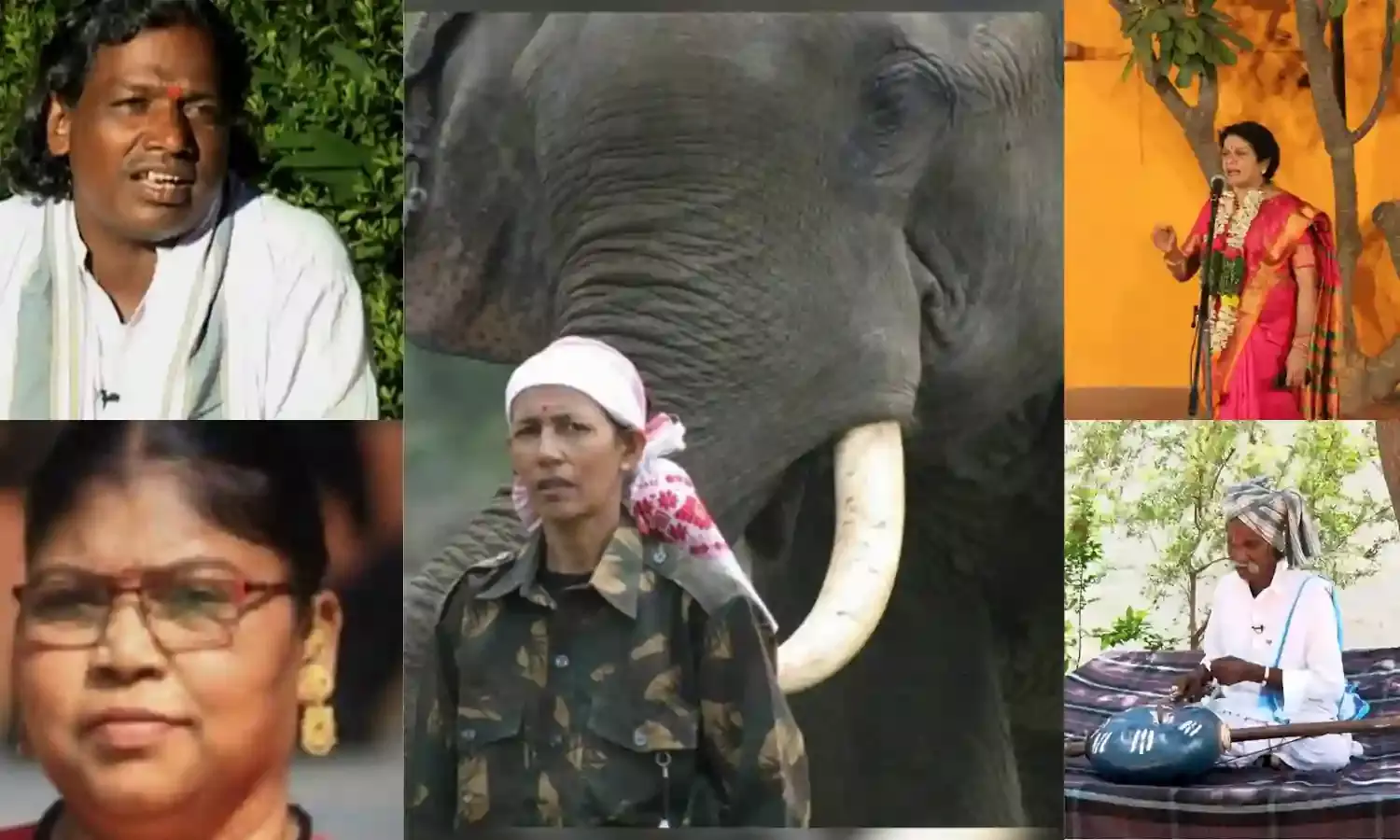 First woman elephant mahout among 34 unsung heroes awarded Padma Shri