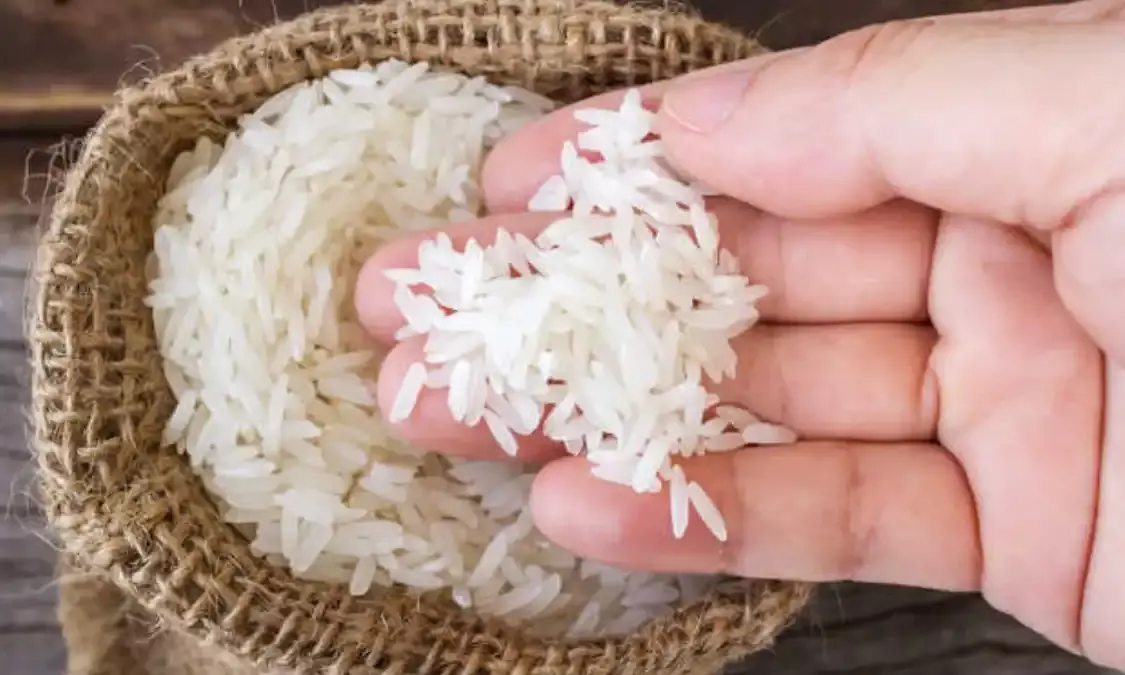 Govt to sell Bharat Rice at Rs 29/kg in retail; asks traders, processors to disclose rice stock