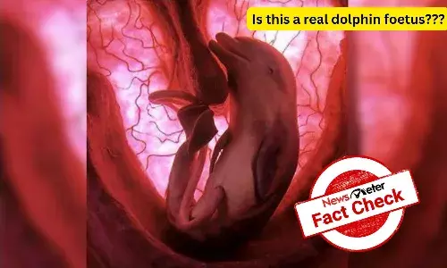 Fact Check: Viral image of dolphin foetus is silicon model, not real photograph