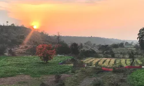 Tree walks to bird walks:  Explore Adilabad forests to unwind this summer